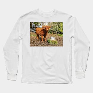 Scottish Highland Cattle Calf 2074 Long Sleeve T-Shirt